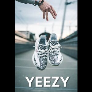 Meet your Posher, Tyson